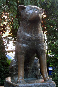 Hachiko Statue